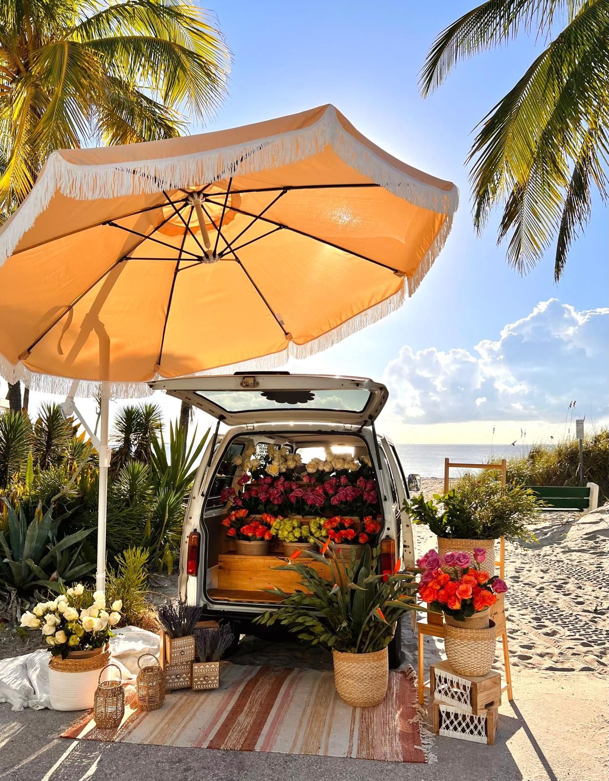 Patio Umbrella 