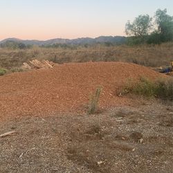 Mulch For sale