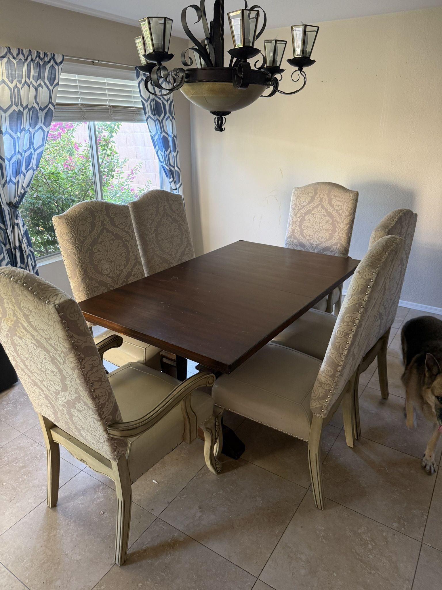 6 Seat Dining Table For Sale w/ Chairs