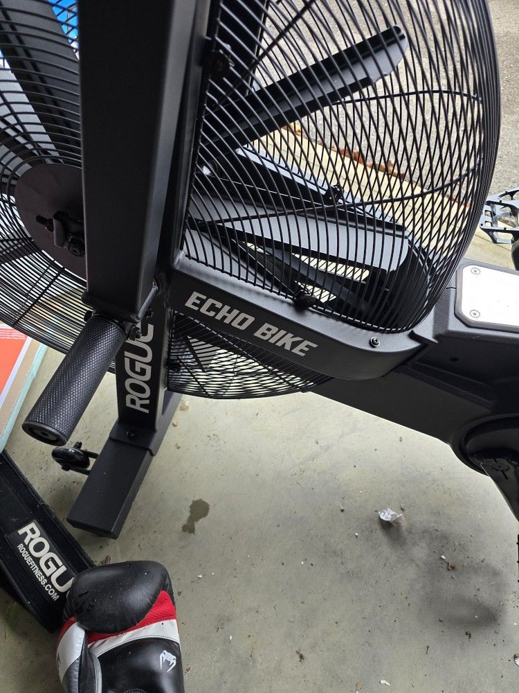 Rogue Echo Bike