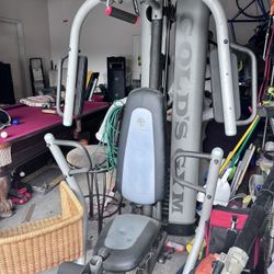 Golds Multi Station Gym