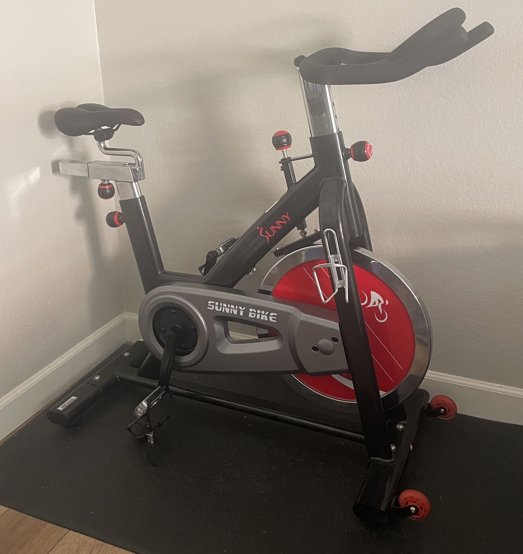 Sunny Exercise Bike