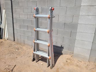 Little gaint ladder