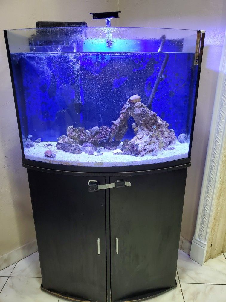 Fish Tank Aquarium. 32 Gallons