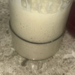 Sourdough starter