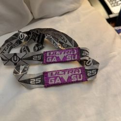 Ultra Music Festival 2025 SUNDAY ONLY -Miami, FL