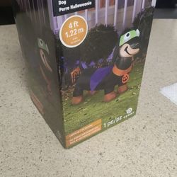 Halloween Decor 