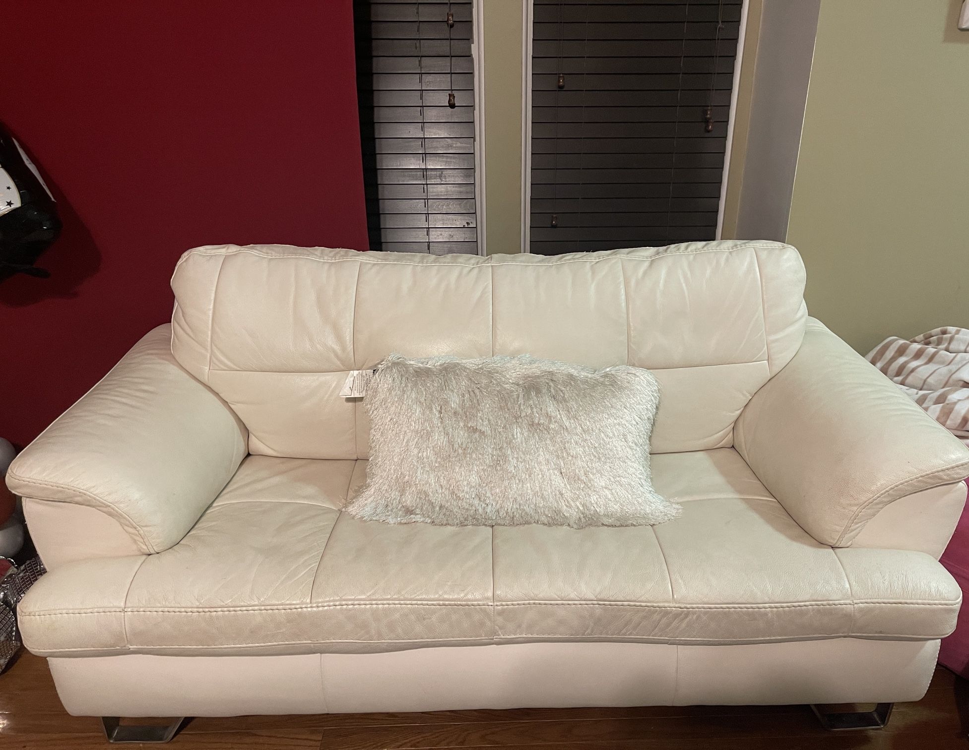 One Couch And One Loveseat For $150