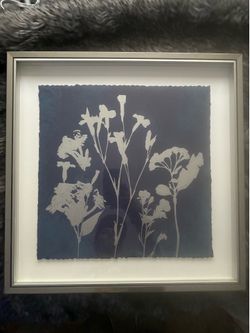Nicely Framed Picture