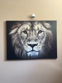 Lion Canvas Wall Art