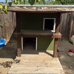 Dog house 