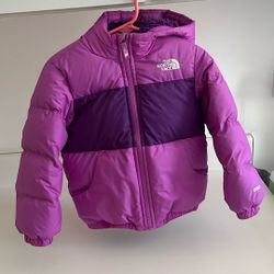 The North Face Winter Jacket Size 3 Toddler 