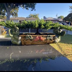 Bonsai 18 Inch Wide Pot 2 Feet Wide Bonsai $180 Flying Eagle