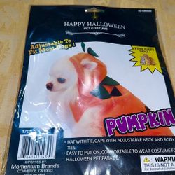 Pumpkin Pet Costume