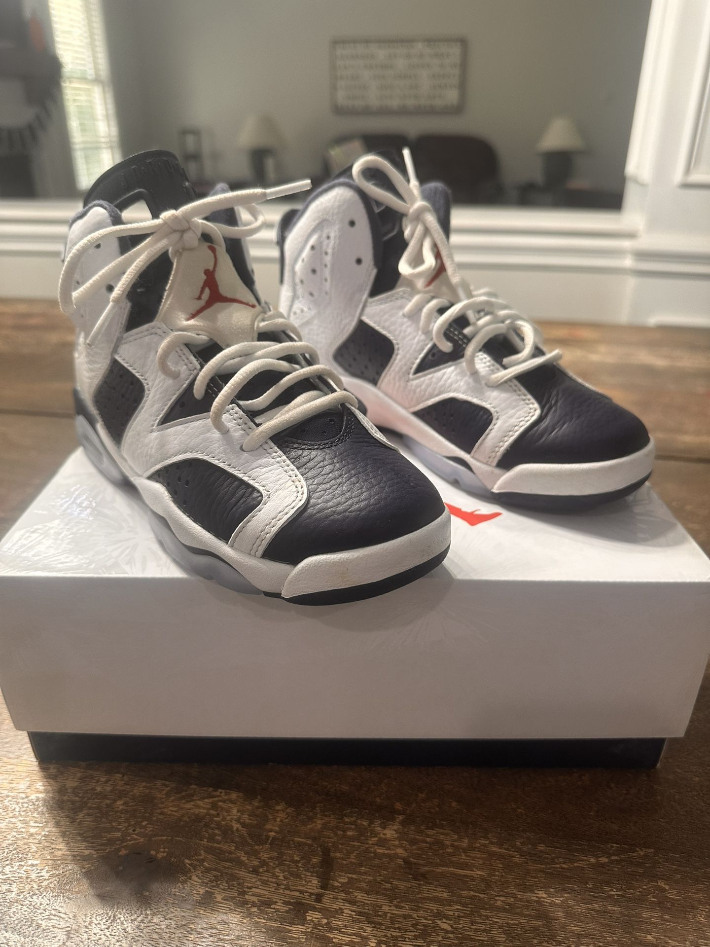 Air Jordan 6