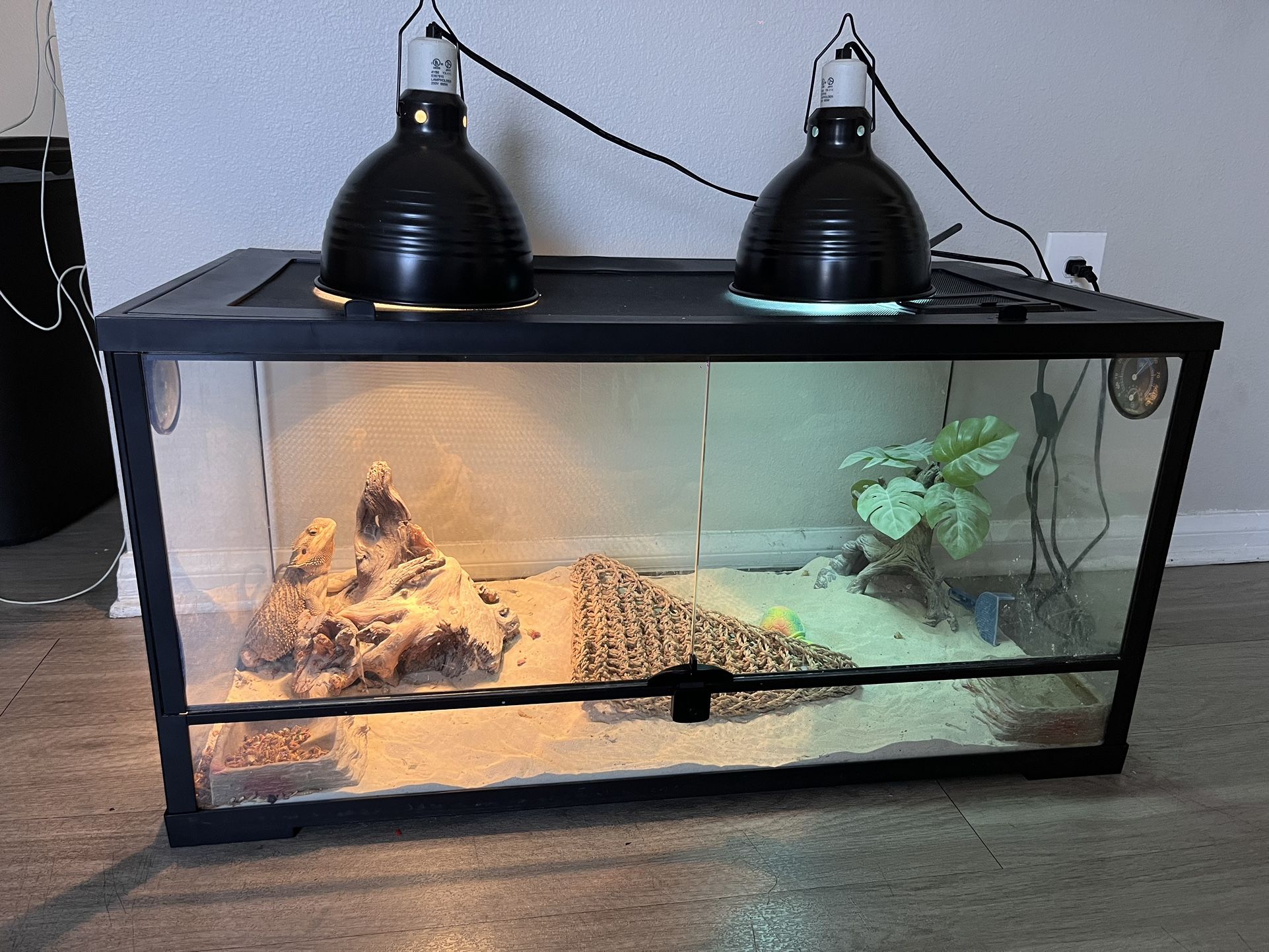 Reptile Habitat