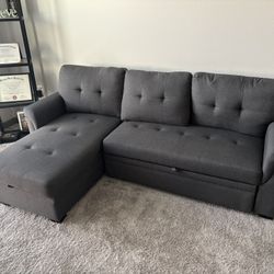 Pull Out Couch w/Storage 