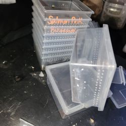 Tarantula Enclosure
