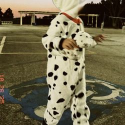 Dalmatian  Customs