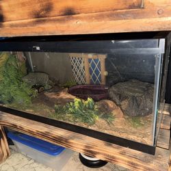 Reptile Enclosure 