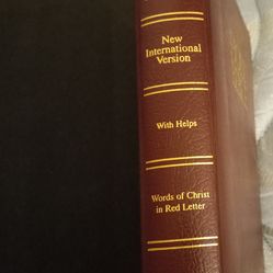 Holy Bible international version