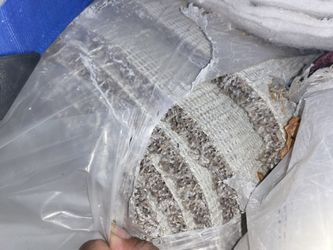 Carpet And Pad For Sale