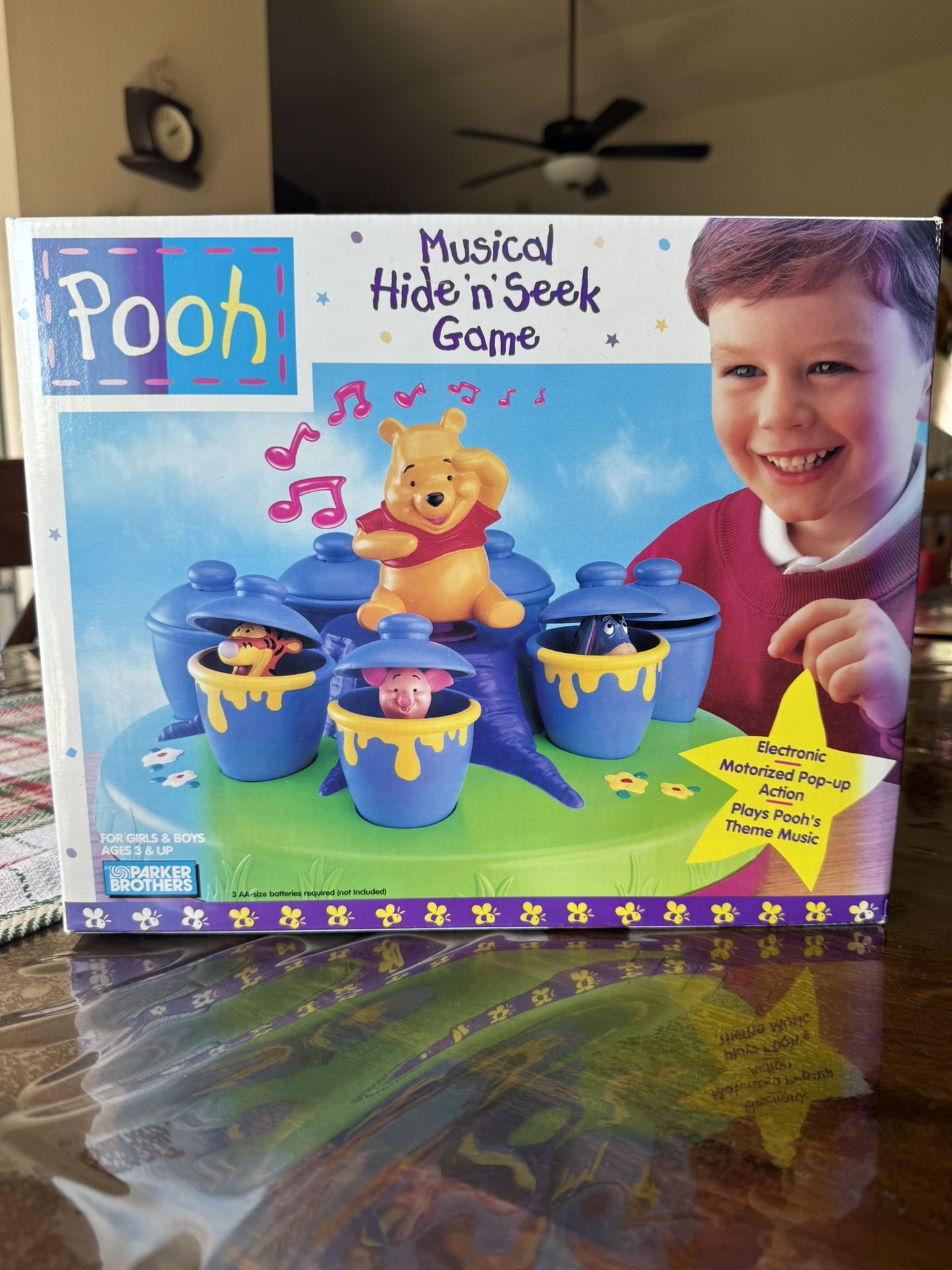 Hide N Seek Musical Game