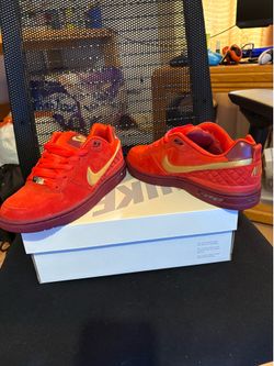 Paul Rodriguez zoom air low QS