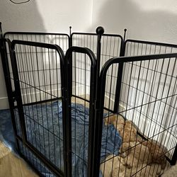 Playpen For Dogs 