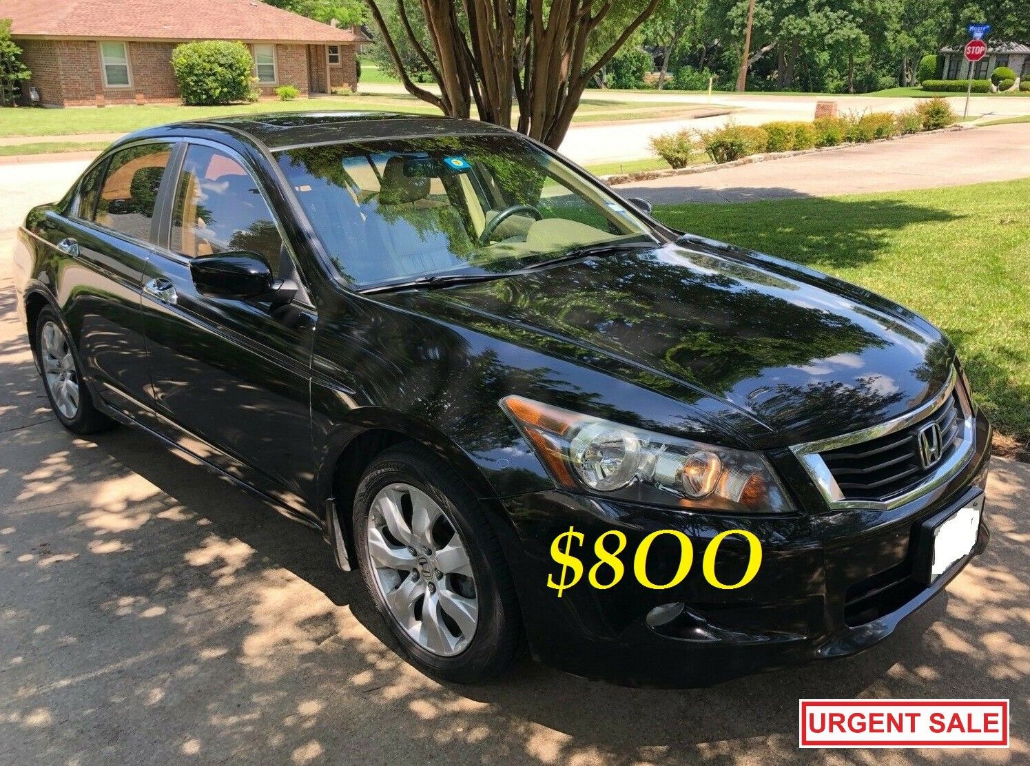 ๐๐$8OO URGENTLY I sell my family car 2OO9 Honda Accord EX-L Everything is working great! Runs great and fun to drive.๐๐