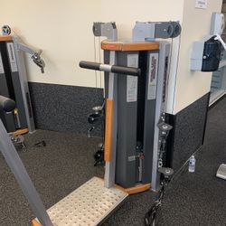 Star trac/ Nautilus Total Leg