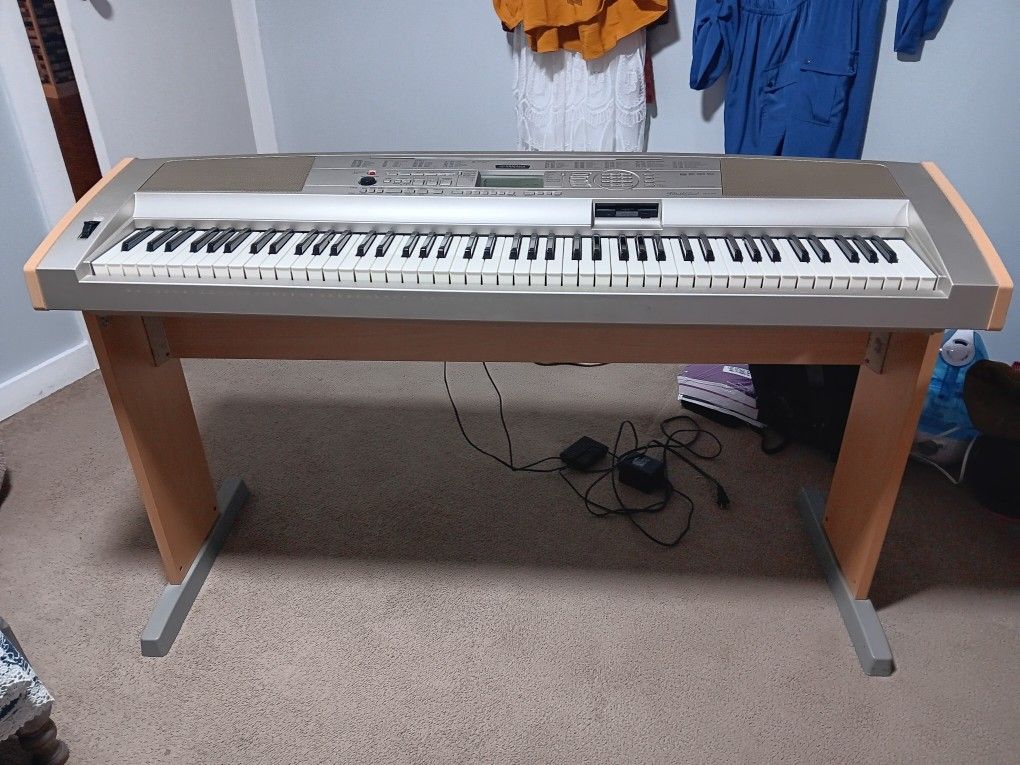 Yamaha Portable Grand DGX-500