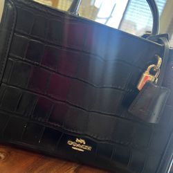 Coach Black Purse