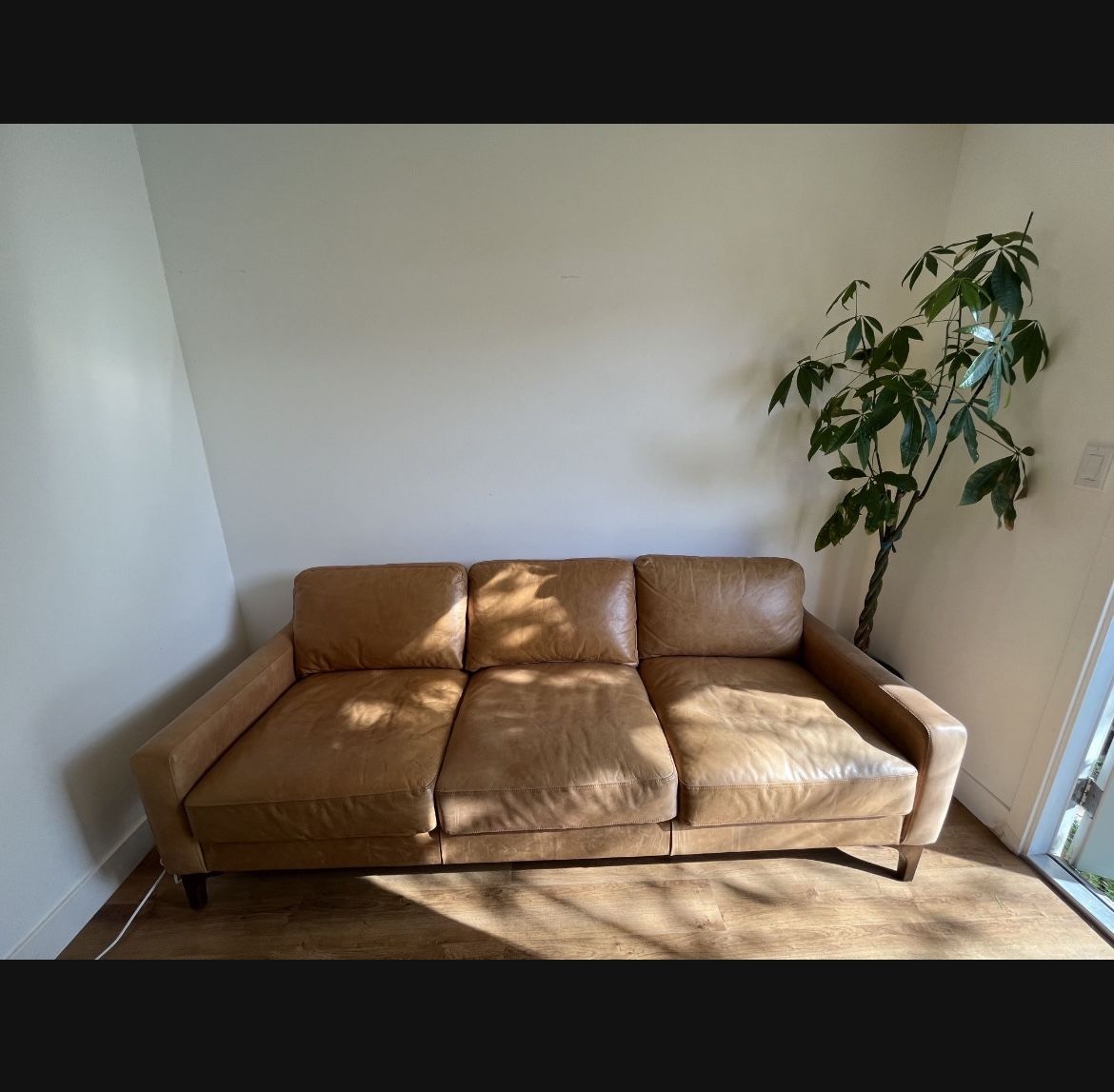 Poly and Bark sofa