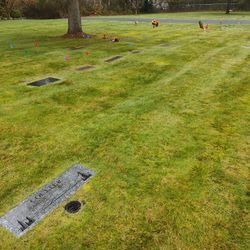 Burial Plot