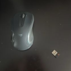 Mouse with USB Receiver