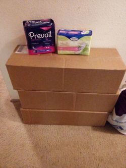 Prevail & Intimates Extra Coverage Pads