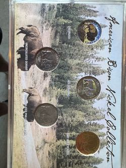 American Bison Nickel Collection Set
