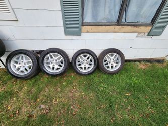 Miny Van Rims