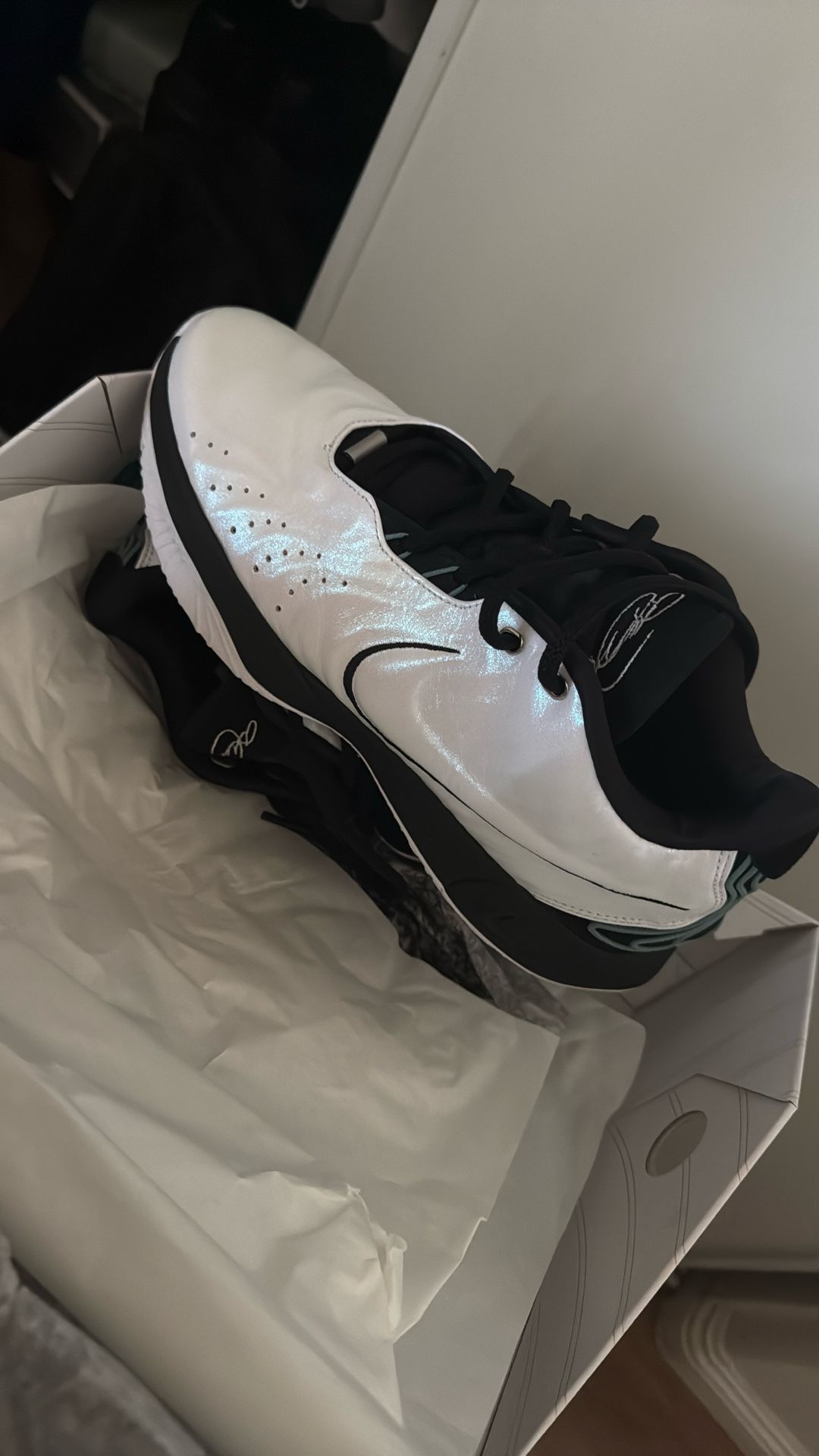 LeBron XXI