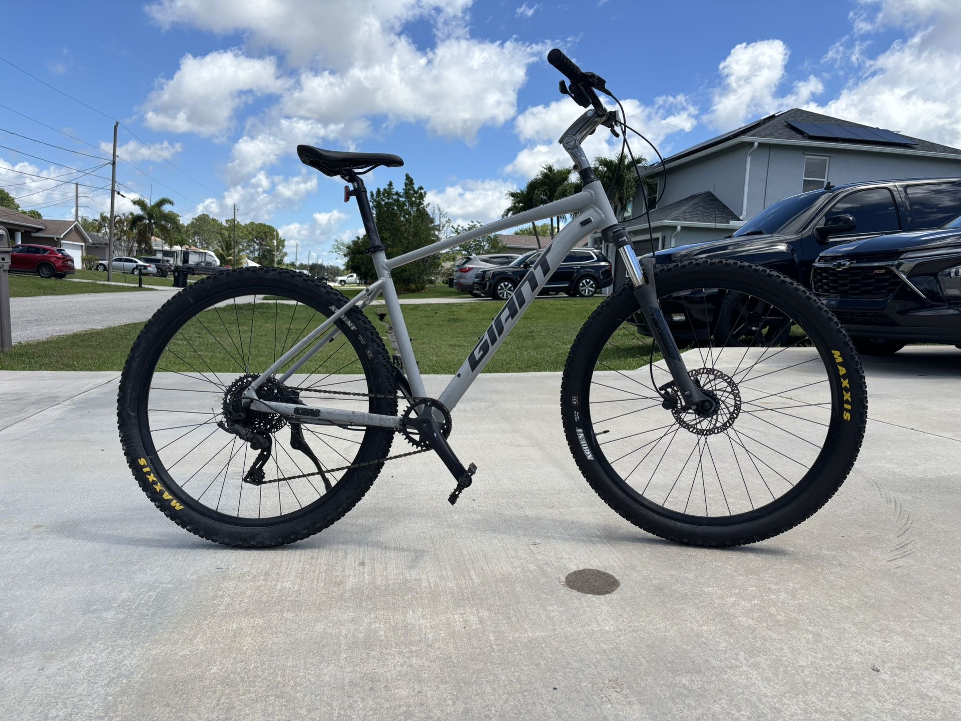 Giant Mountain Bike Large