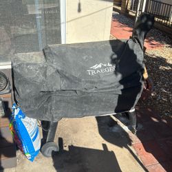 Traeger Pro Series 34 Wood Pellet Grill