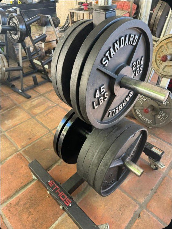 45 / 25 Lbs Weights Sold By The Pair (2)