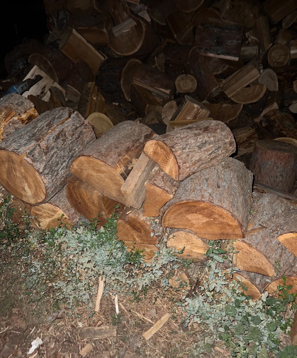 FIREWOOD FOR SALE