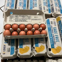 Brown Eggs 