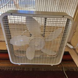 Lakewood Box Fan