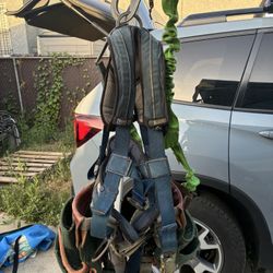 Sala Full Body Harness With 6’ Lanyard