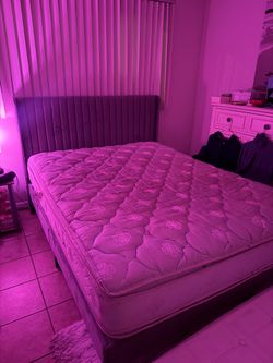 Free Queen mattress