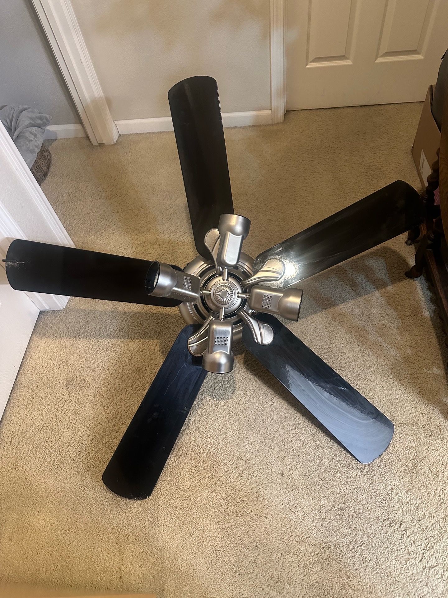 Ceiling fan