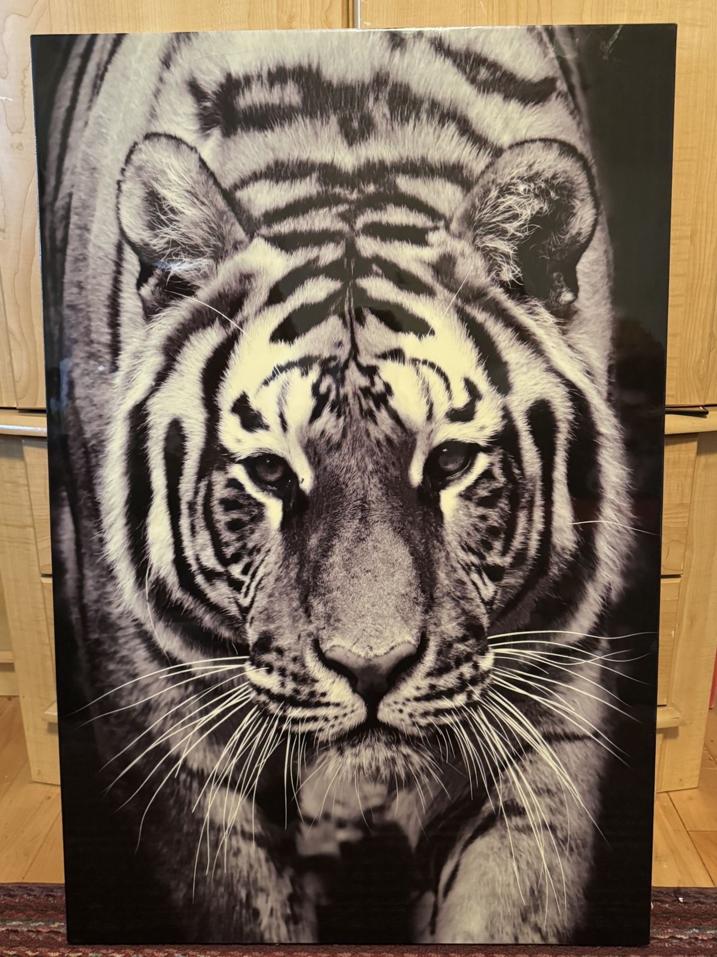 Tiger Framed Photograph